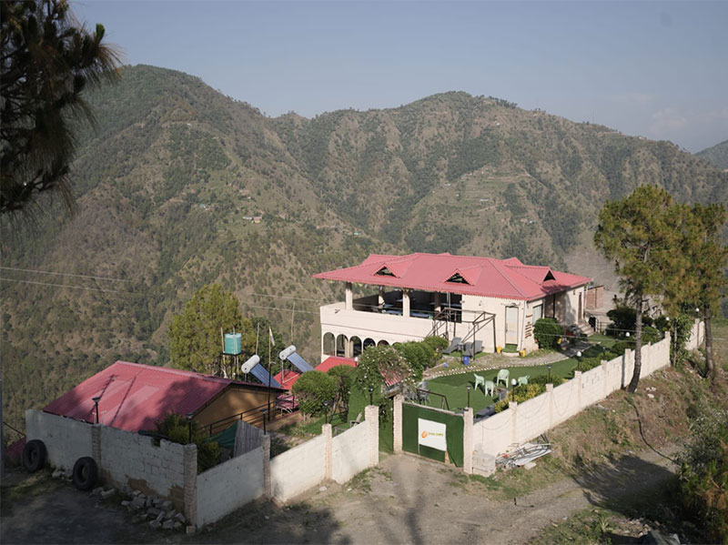 Panoramic view of Chail Camps and Cottages hillside setting among pine trees