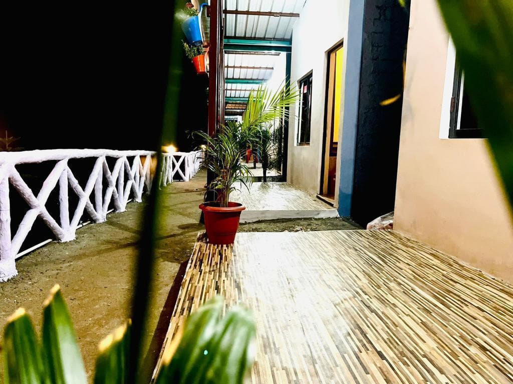 Exterior view along the cottage veranda corridor with potted plants at night