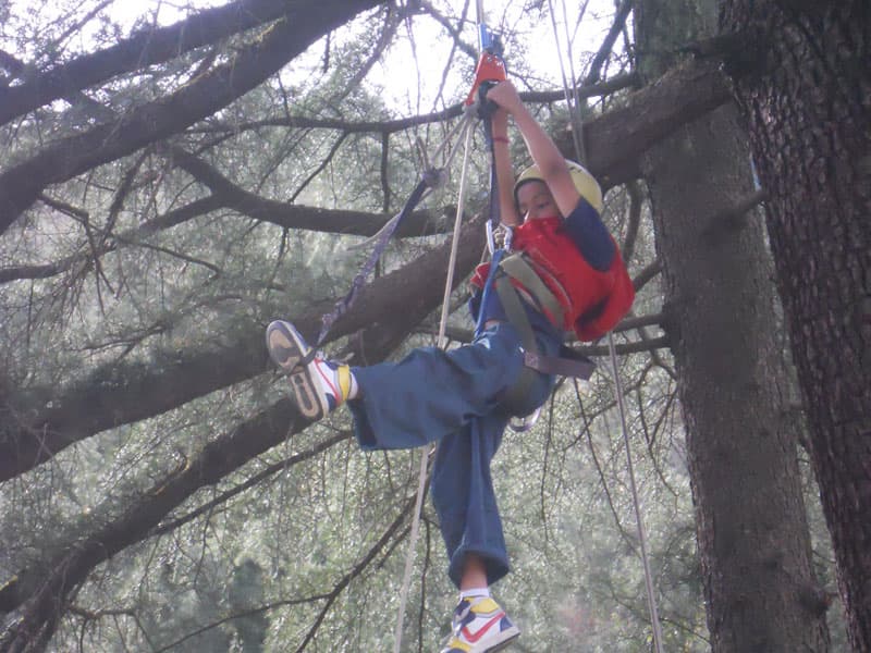 Tree-top adventure rope and zipline course in deodar trees at Chakrata Camps & Cottages