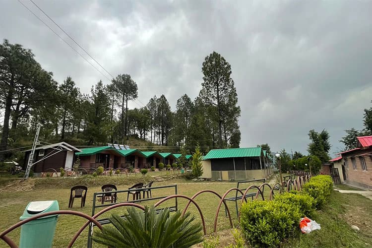 Green-roofed wooden cottages nestled under pine trees at Shimla Camps & Cottages