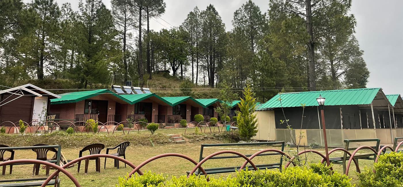 Panoramic view of the pine ridge campsite and cottages at Shimla Camps & Cottages